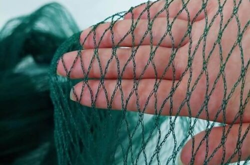 mão segurando uma rede na cor verde com furos de 15 mm, rede fininha feita de fios de plástico.